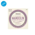 JEUX DE CORDES FOLK MANDOLINE PHOSPHOR Bronze à boule light D'Addario
